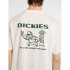 Camiseta Dickies Burns Ss Homem Egret