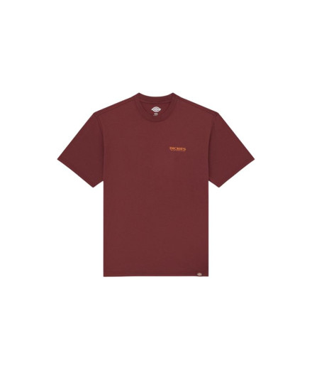 T-shirt Dickies Burns Ss Homme Marron T-shirt Dickies Burns Ss Homme Marron