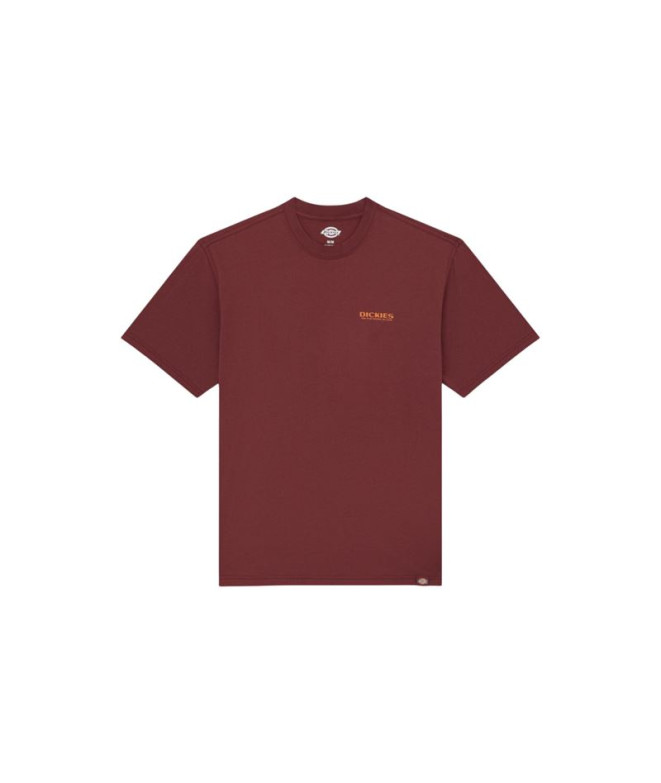Camiseta Dickies Burns Ss Homem Marrom