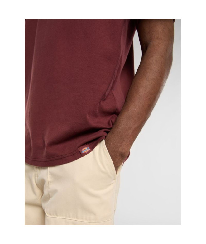 T-shirt Dickies Burns Ss Homme Marron