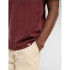 Camiseta Dickies Burns Ss Hombre Marrón