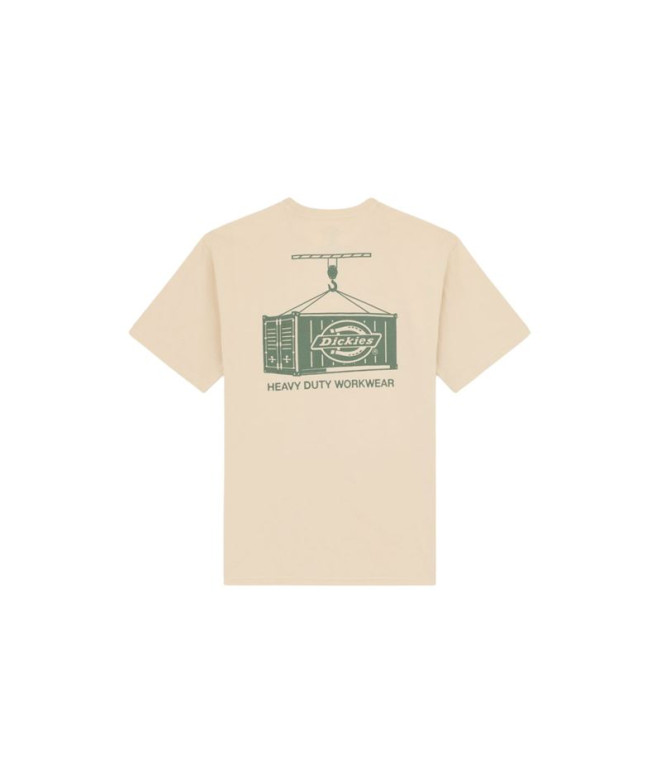 T-shirt Dickies Apison Ss Homme Beige
