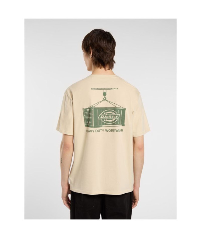 T-shirt Dickies Apison Ss Homme Beige