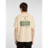 T-shirt Dickies Apison Ss Homme Beige