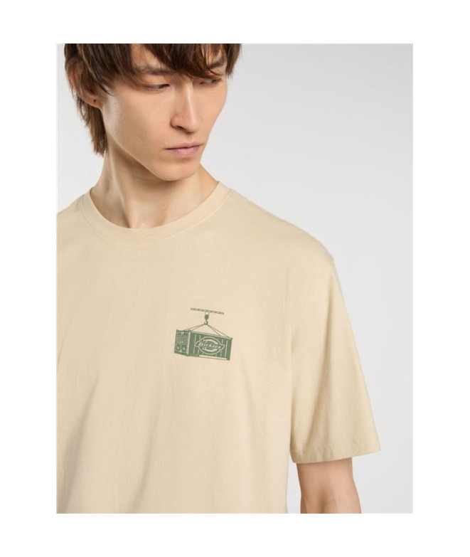 T-shirt Dickies Apison Ss Homme Beige