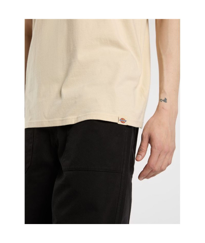 T-shirt Dickies Apison Ss Homme Beige