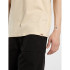 T-shirt Dickies Apison Ss Homme Beige