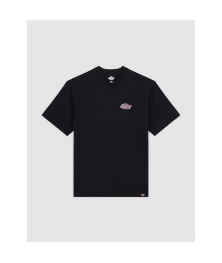 T-shirt Dickies Graysville Ss Homme Noir