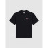 T-shirt Dickies Graysville Ss Homme Noir