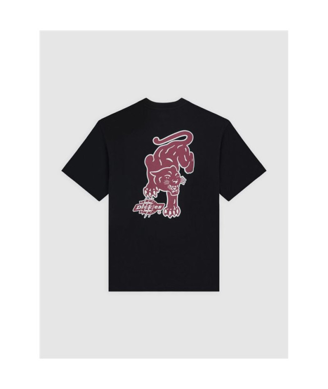 Camiseta Dickies Graysville Ss Hombre Negro