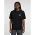 T-shirt Dickies Graysville Ss Homme Noir