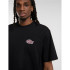 T-shirt Dickies Graysville Ss Homme Noir
