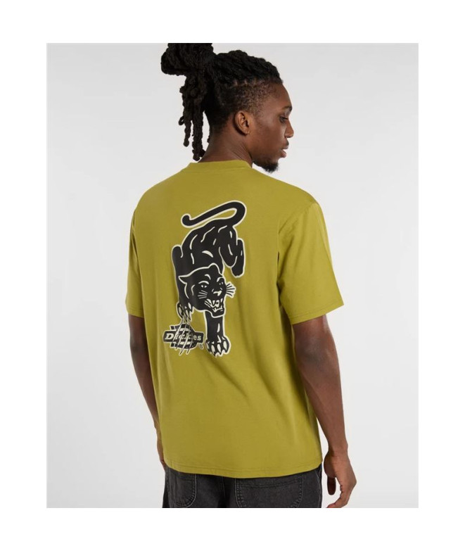 T-shirt Dickies Graysville Ss Homme Evergreen...