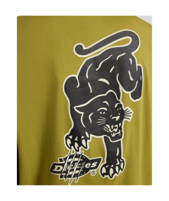 T-shirt Dickies Graysville Ss Homme Evergreen...