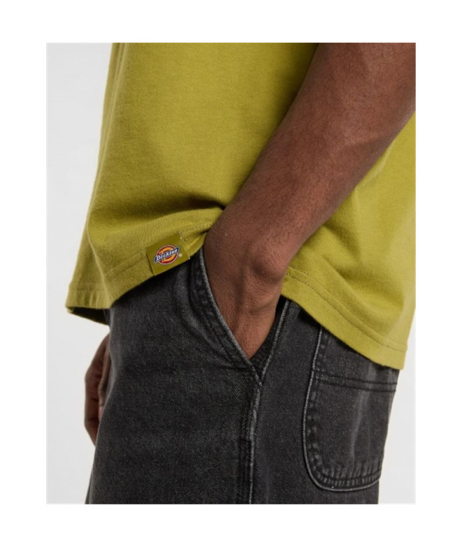 Camiseta Dickies Graysville Ss Homem Evergreen...