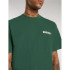 T-shirt Dickies Gordonsville Ss Homme Vert