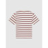 Camiseta Dickies York Stripe Ss Homem Branco/Marrão