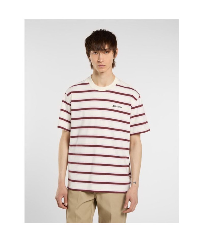 T-shirt Dickies York Stripe Ss Homme Blanc/Marron