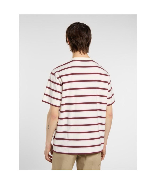 T-shirt Dickies York Stripe Ss Homme Blanc/Marron
