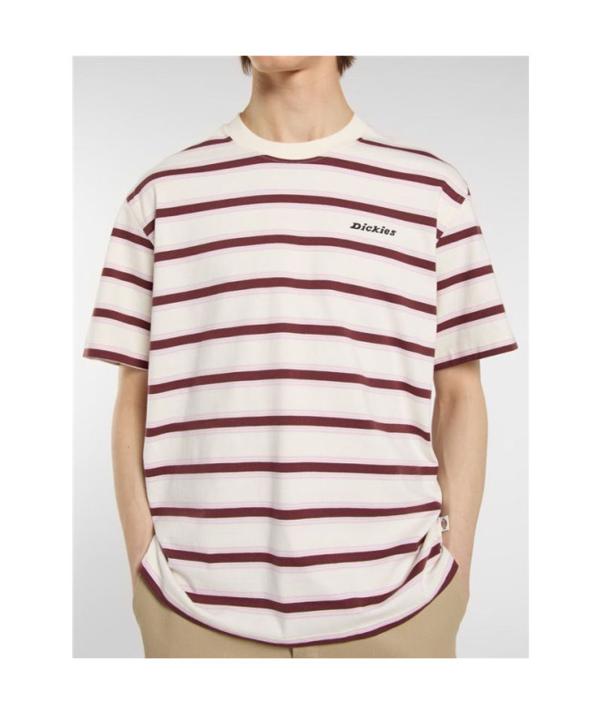 Camiseta Dickies York Stripe Ss Homem...