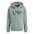 Sudadera Jack and Jones Jjgeplas Niño Iceberg Verde