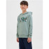 Sudadera Jack and Jones Jjgeplas Niño Iceberg Verde