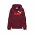 Sweat Puma Essentials 2 Couleur No. 1 Lo Grenat Enfant