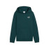 Moletom Puma Essentials 2 Cor Pequena Não Verde Terrai Infantil