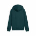Moletom Puma Essentials 2 Cor Pequena Não Verde Terrai Infantil