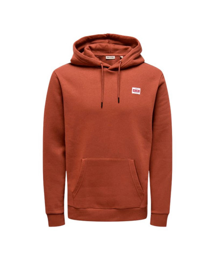 Moletom Only & Sons Onsdawson Reg Hoodie Vd Homem Sequoia