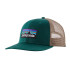 Casquette Patagonia P-6 Logo Trucker Hat Unisexe Cascade Verte