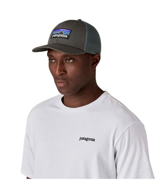Boné Patagonia P-6 Logo Trucker Hat Unissex...