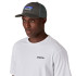 Casquette Patagonia P-6 Logo Trucker Hat Unisexe Forge Gris
