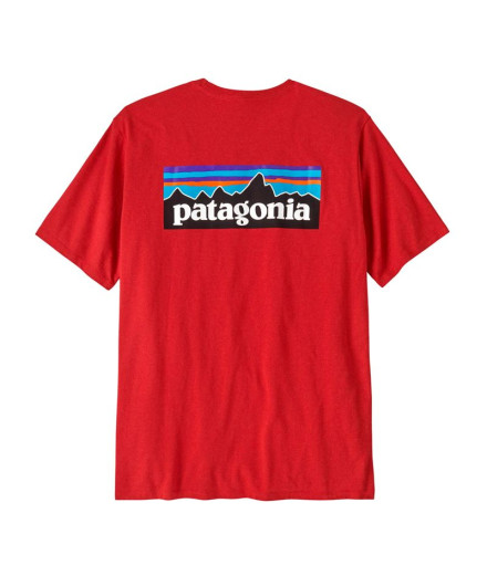 Camiseta Patagonia P-6 Logo Responsibili-Tee Hombre...
