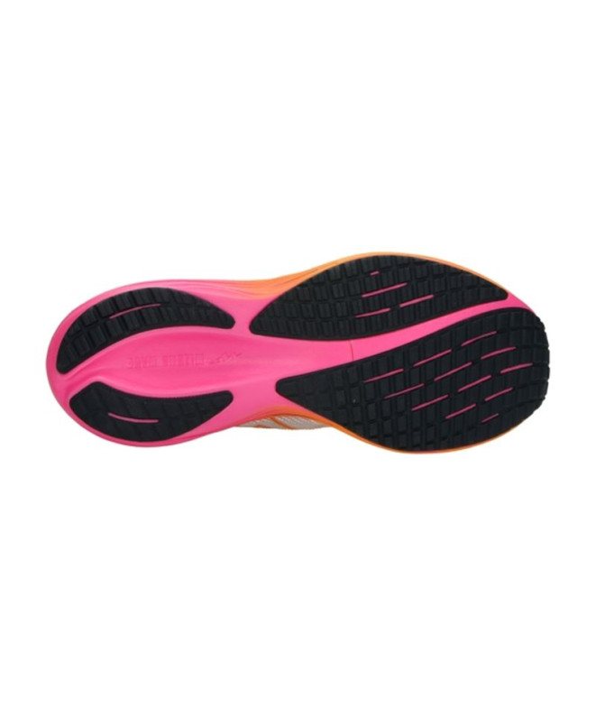Zapatillas de running Mizuno Wave Rider 29...