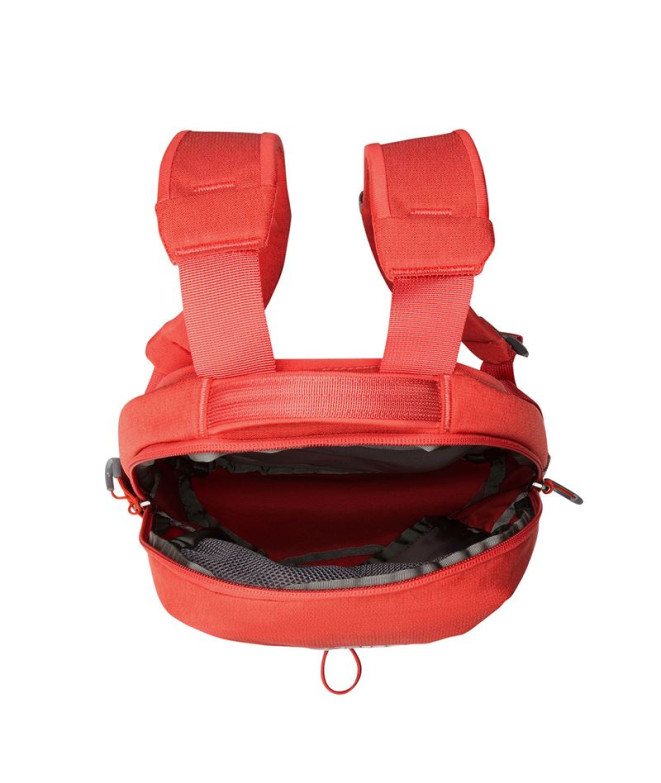 Mochila The north Face Borealis Mini Backpack...