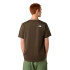 T-shirt de Montagne The North Face M Ss Simple Dome New Taupe Vert Homme