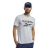 Camiseta de Trainning Reebok Workout Ready Supremium Graphic