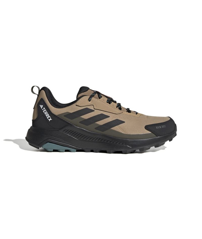Sapatilhas de Montanha adidas Terrex Anylander R.Rdy Homem Carton / Negro / Olisom