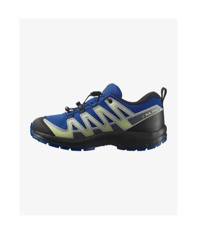 Chaussures de Montagne Salomon Xa Pro V8...