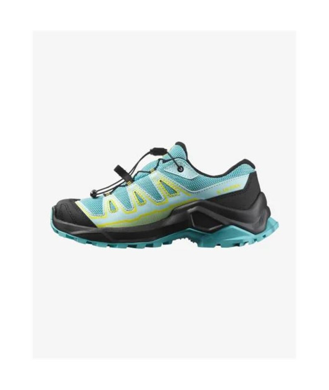 Sapatilhas de Montanha Salomon X Ultra Gtx Blue...