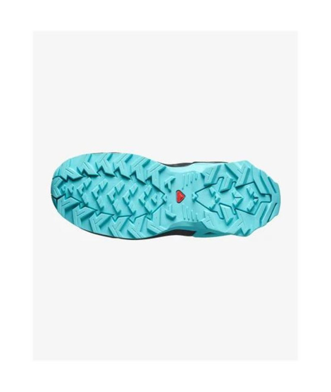 Sapatilhas de Montanha Salomon X Ultra Gtx Blue...