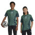 Camiseta de Futebol adidas Algeria Away Jersey Infantil Verde