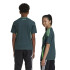 Camiseta de Futebol adidas Algeria Away Jersey Infantil Verde