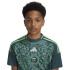 Camiseta de Futebol adidas Algeria Away Jersey Infantil Verde