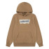 Moletom Levis Lvb Batwing Screenprint Hoodie Menino Marrom