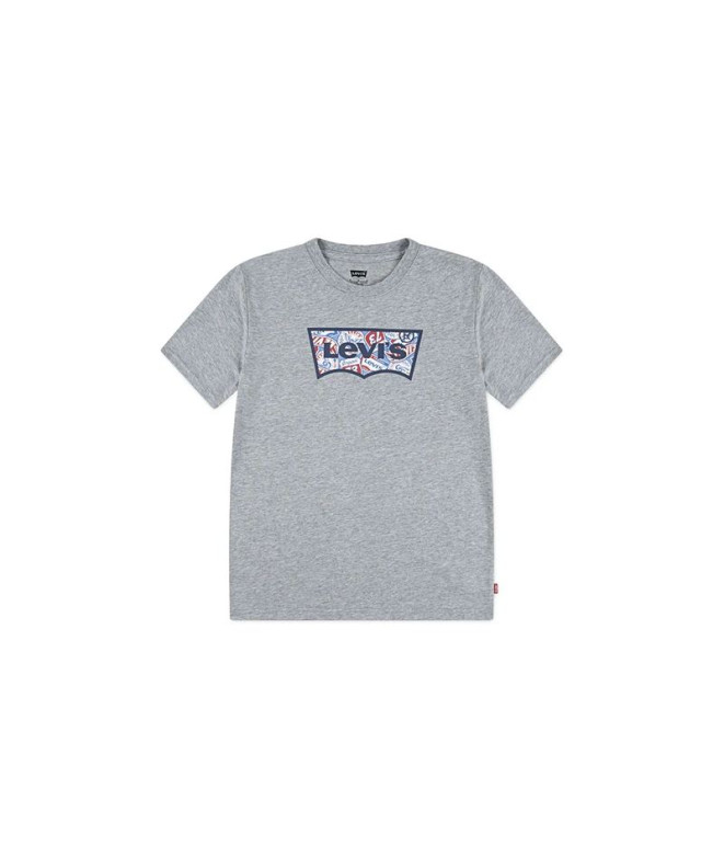Camiseta Levis Lvb On The Road Batwing Tee Menino Cinza