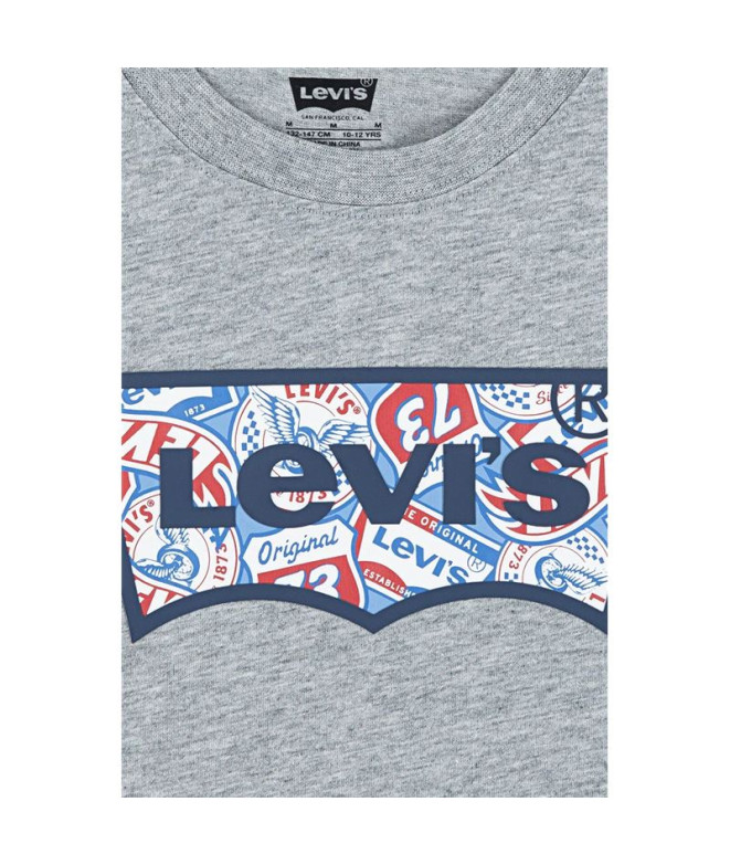 Camiseta Levis Lvb On The Road Batwing Tee Niño...