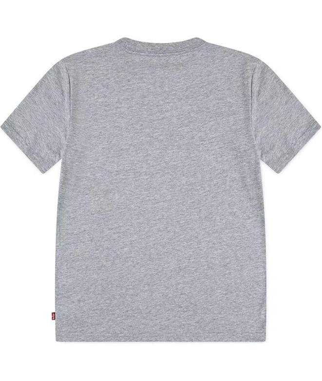 Camiseta Levis Lvb On The Road Batwing Tee...