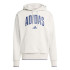 Moletom adidas Collegiate Hd Homem Cinza